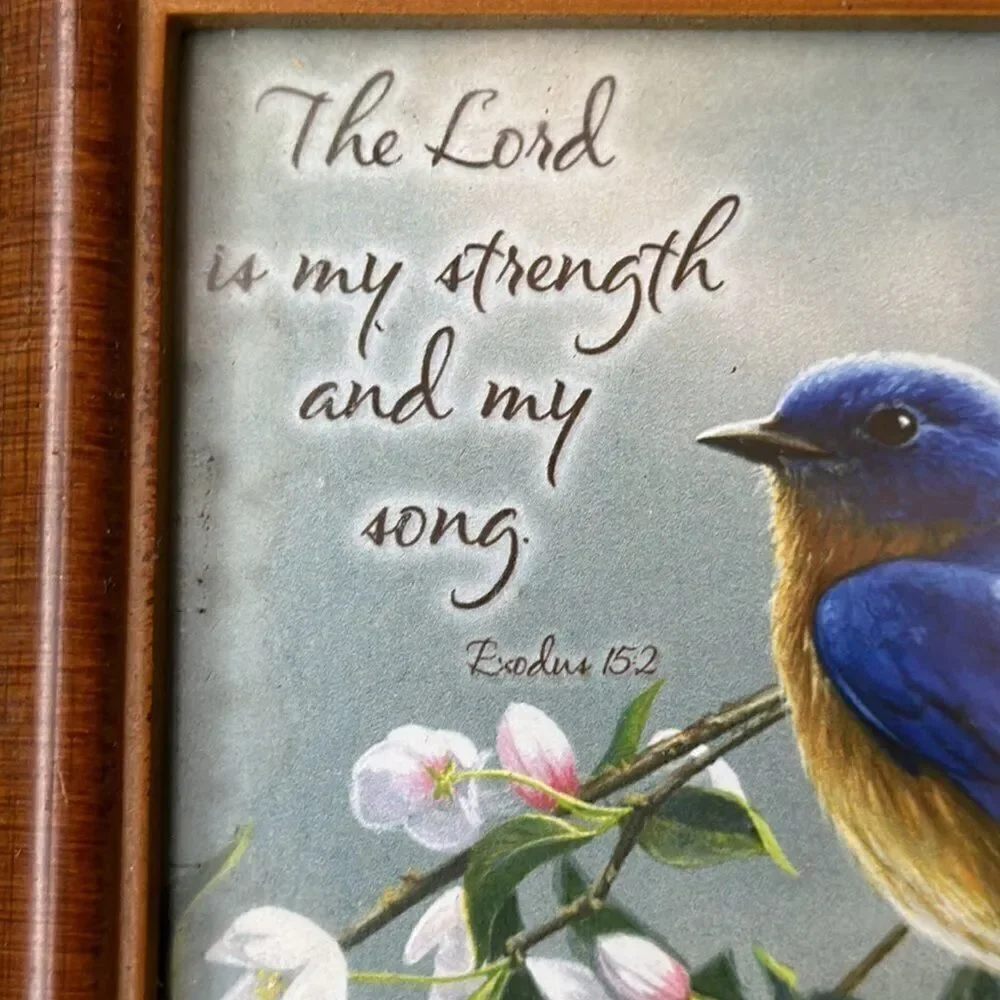 SANKYO SONG BIRDS Jewelry/Trinket Music “THE LORD IS MY STRENGTH*. Amazing Grace